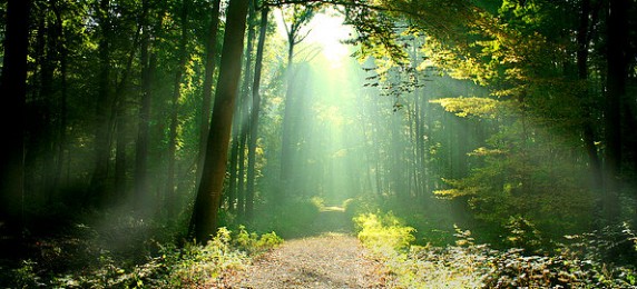 Attention: Our Paths Are Lined with Blessings