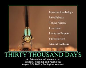 thirtythousanddays_poster.jpg