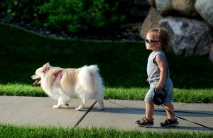 child_walking_dog small