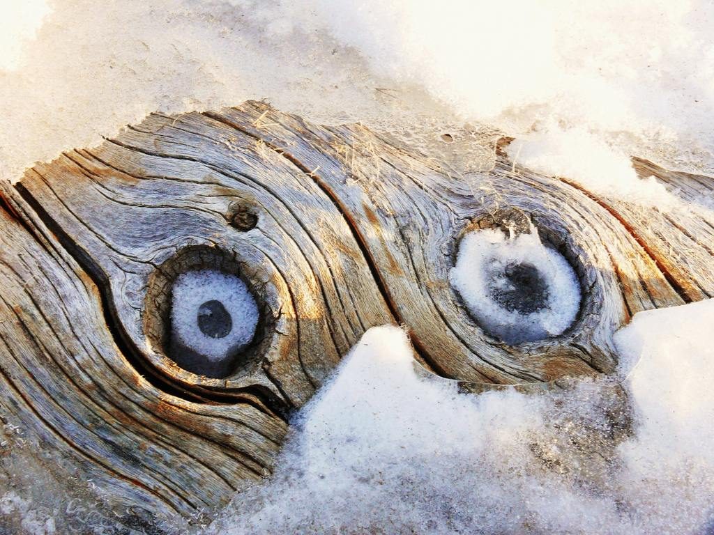 ice eyes