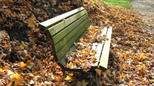 autumn-bench