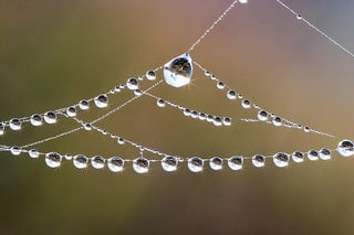 Beaded spider web