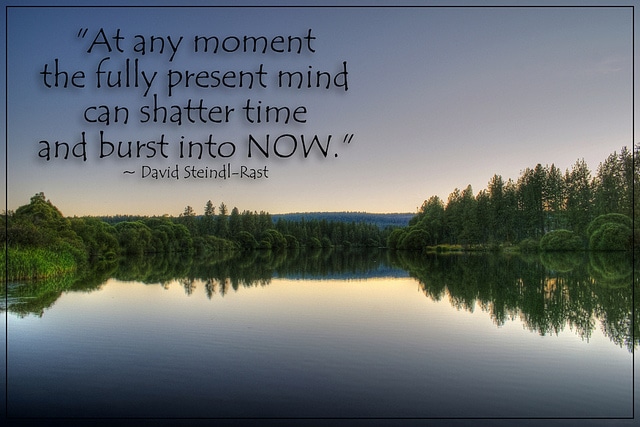 Brother David quote